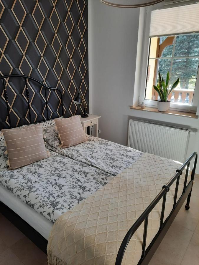 Apartament Felina Świeradów-Zdrój Dış mekan fotoğraf
