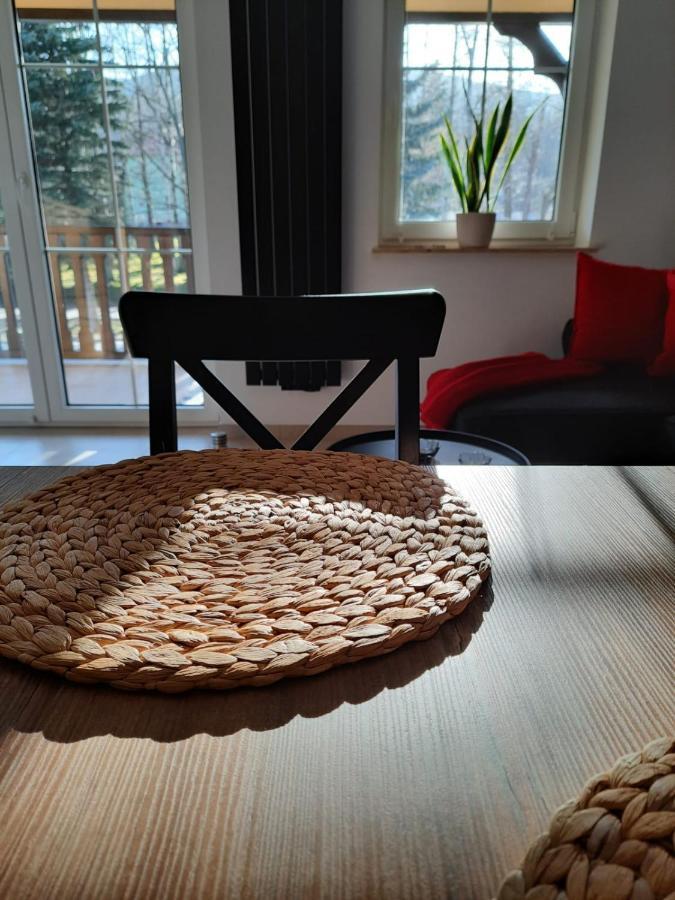 Apartament Felina Świeradów-Zdrój Dış mekan fotoğraf